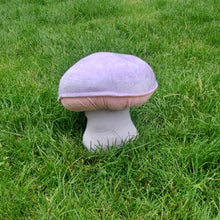 Load image into Gallery viewer, Wood Blewit Plushroom scientific type