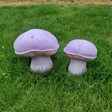 Load image into Gallery viewer, Wood Blewit Plushroom scientific type