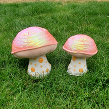 Load image into Gallery viewer, Wrinkled Peach Plushroom, Scientific type