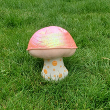 Load image into Gallery viewer, Wrinkled Peach Plushroom, Scientific type