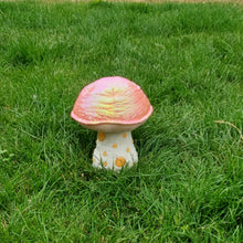 Load image into Gallery viewer, Wrinkled Peach Plushroom, Scientific type