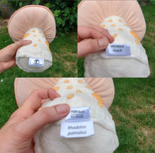Load image into Gallery viewer, Wrinkled Peach Plushroom, Scientific type