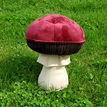 Load image into Gallery viewer, Wine Cap Plushroom scientific type