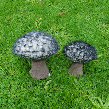 Load image into Gallery viewer, Old Man of the Woods Plushroom scientific