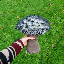 Load image into Gallery viewer, Old Man of the Woods Plushroom scientific