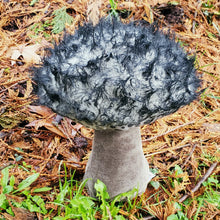 Load image into Gallery viewer, Old Man of the Woods Plushroom scientific