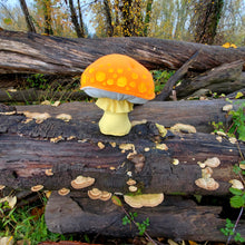 Load image into Gallery viewer, Orange Amanita Plushroom Yellow Patches scientific