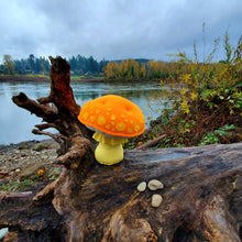 Load image into Gallery viewer, Orange Amanita Plushroom Yellow Patches scientific