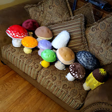 Load image into Gallery viewer, Veiled Lady Plushroom Scientific type