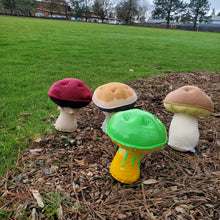 Load image into Gallery viewer, Parrot Waxcap Plushroom scientific