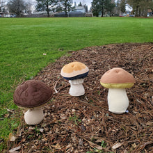 Load image into Gallery viewer, Magic Mushroom Plushroom scientific