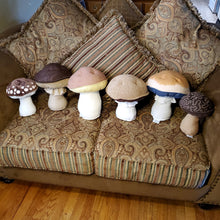 Load image into Gallery viewer, Brown Amanita Pantherina Plushroom scientific