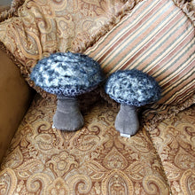 Load image into Gallery viewer, Old Man of the Woods Plushroom scientific