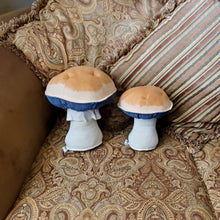 Load image into Gallery viewer, Magic Mushroom Plushroom scientific