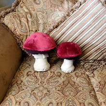Load image into Gallery viewer, Wine Cap Plushroom scientific type