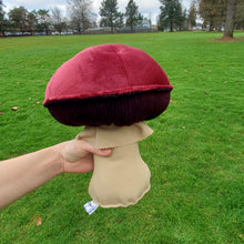 Load image into Gallery viewer, Wine Cap Plushroom scientific type