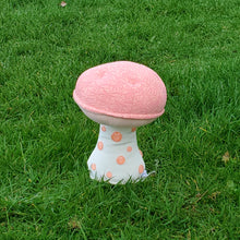 Load image into Gallery viewer, Wrinkled Peach Plushroom, Scientific type