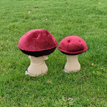 Load image into Gallery viewer, Wine Cap Plushroom scientific type