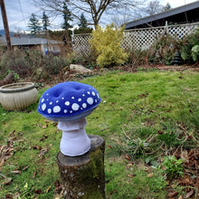 Load image into Gallery viewer, Blue Amanita Plushroom