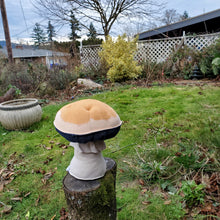 Load image into Gallery viewer, Magic Mushroom Plushroom scientific