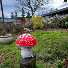 Load image into Gallery viewer, Amanita muscaria Classic Plushroom Large All Dots