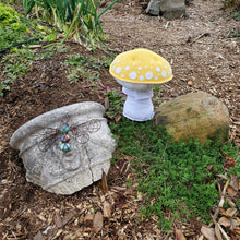 Load image into Gallery viewer, Yellow Amanita Plushroom scientific