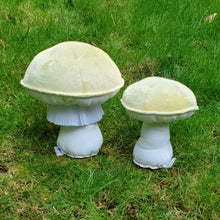 Load image into Gallery viewer, Death Cap Amanita Plushroom scientific