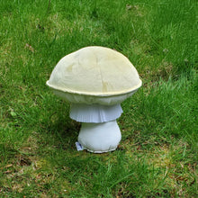 Load image into Gallery viewer, Death Cap Amanita Plushroom scientific