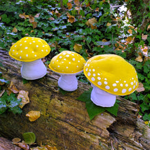 Load image into Gallery viewer, Yellow Amanita Plushroom scientific