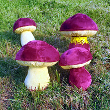 Load image into Gallery viewer, Two colored Bolete Plushroom, Scientific type