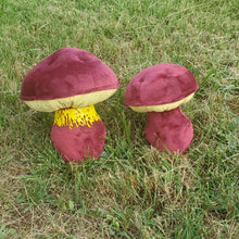Load image into Gallery viewer, Two colored Bolete Plushroom, Scientific type
