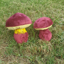 Load image into Gallery viewer, Two colored Bolete Plushroom, Scientific type