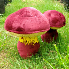 Load image into Gallery viewer, Two colored Bolete Plushroom, Scientific type