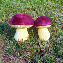 Load image into Gallery viewer, Two colored Bolete Plushroom, Scientific type
