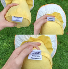 Load image into Gallery viewer, Orange Amanita Plushroom Yellow Patches scientific