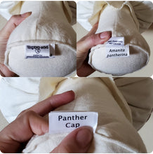 Load image into Gallery viewer, Brown Amanita Pantherina Plushroom scientific