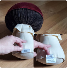 Load image into Gallery viewer, Wine Cap Plushroom scientific type