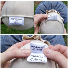 Load image into Gallery viewer, Magic Mushroom Plushroom scientific