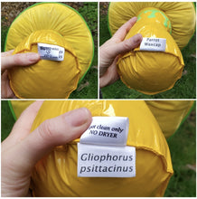 Load image into Gallery viewer, Parrot Waxcap Plushroom scientific