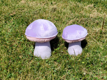 Load image into Gallery viewer, Wood Blewit Plushroom scientific type