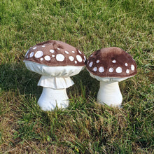 Load image into Gallery viewer, Brown Amanita Pantherina Plushroom scientific