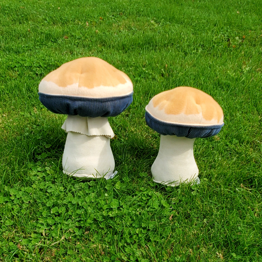 Magic Mushroom Plushroom scientific