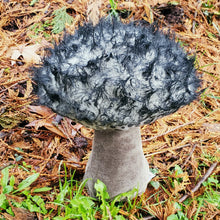 Load image into Gallery viewer, Old Man of the Woods Plushroom scientific
