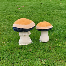 Load image into Gallery viewer, Magic Mushroom Plushroom scientific
