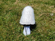 Load image into Gallery viewer, Shaggy Mane Plushroom Scientific type
